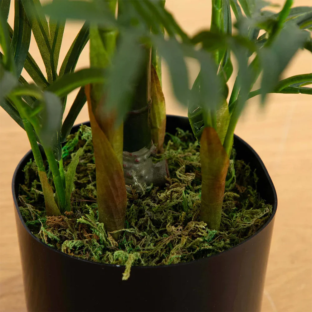 2.5 ft. Breeze Grove Palm - Image 4