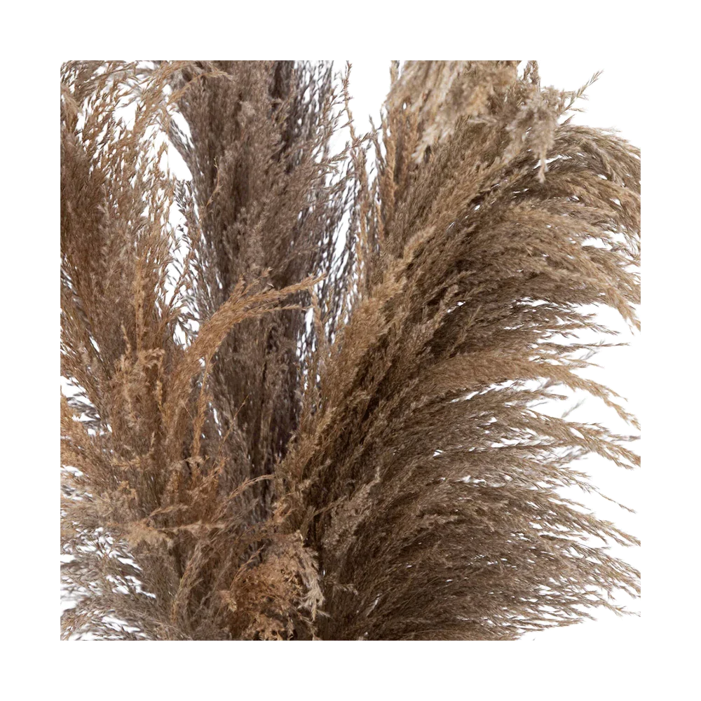 30" Desert Whisper - Dried Natural Pampas in Ceramic Vase - Image 3
