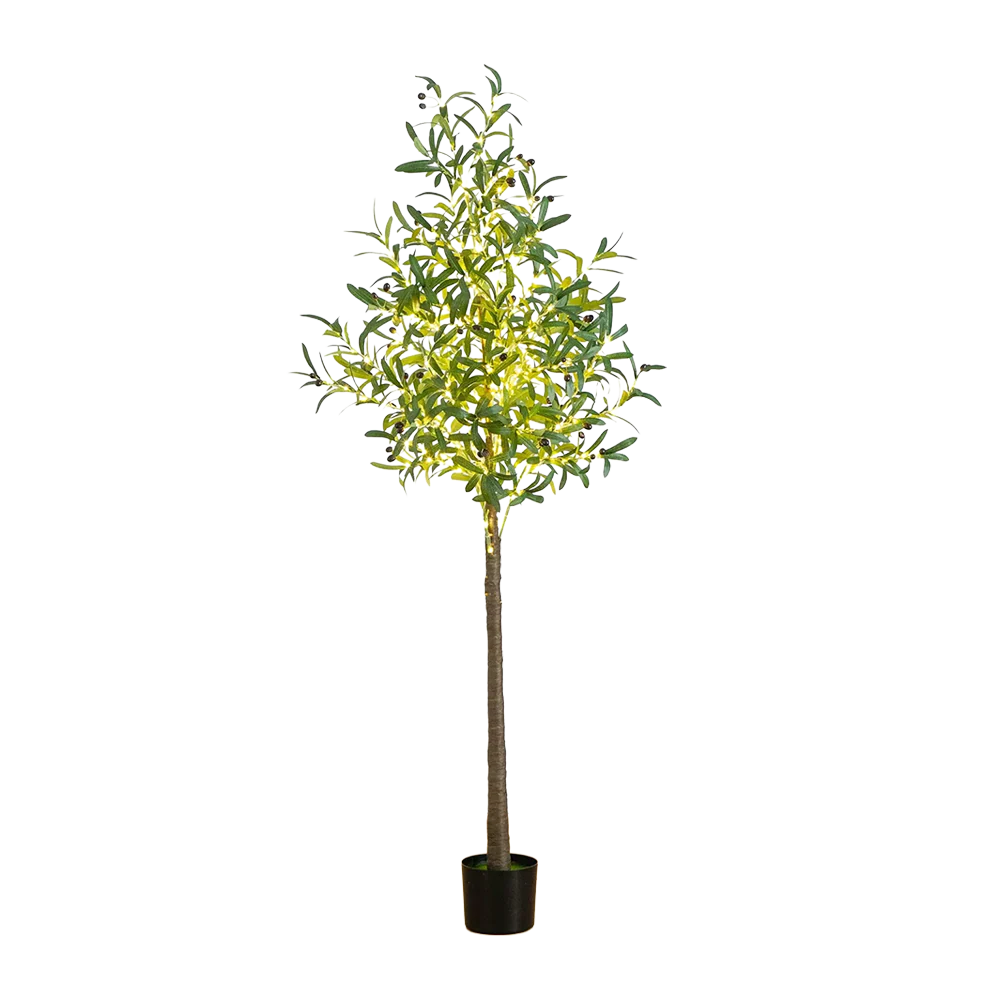 6 ft. Lumiere Olive - Image 3