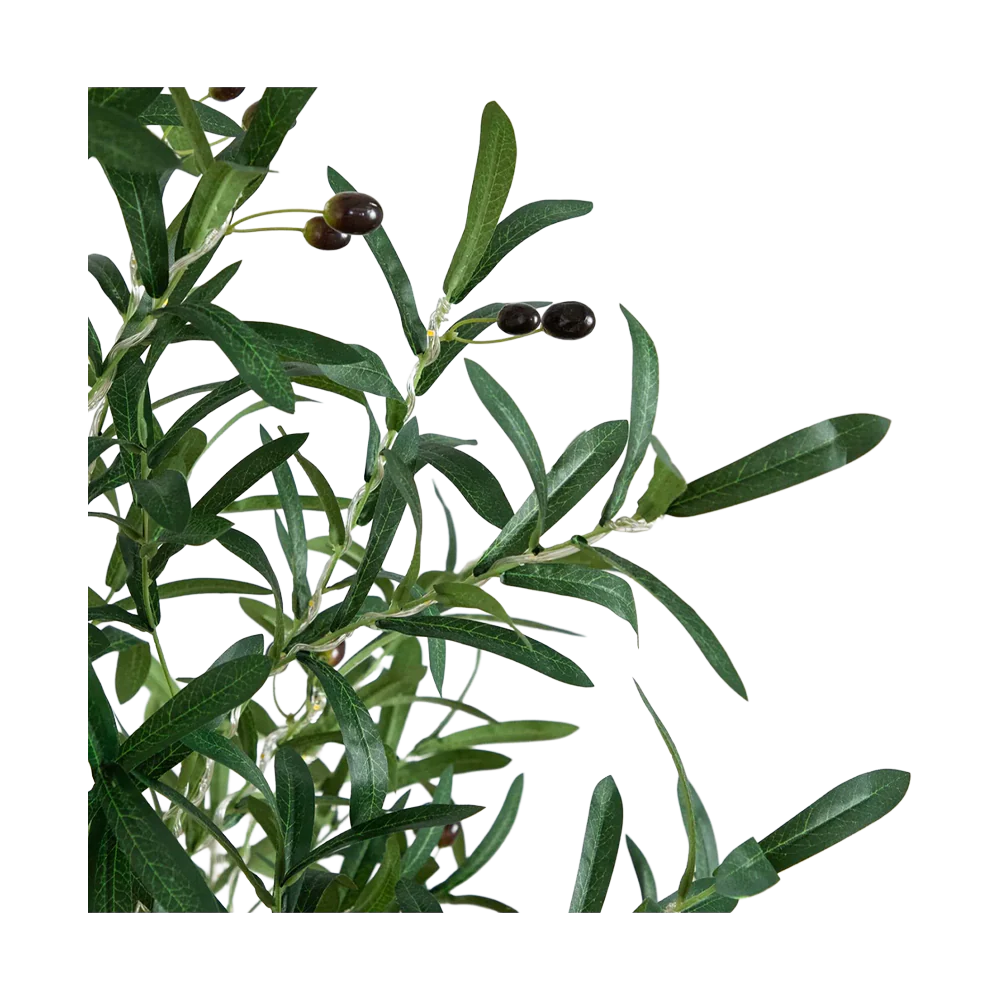6 ft. Lumiere Olive - Image 4