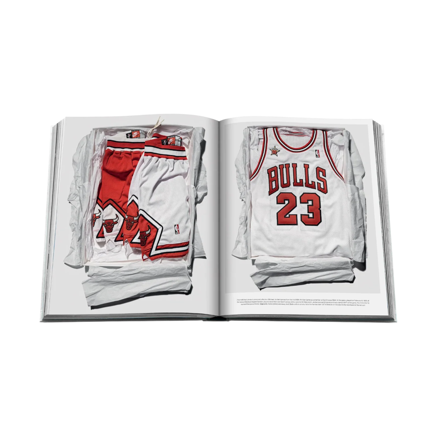 Air Jordan Book - Image 3