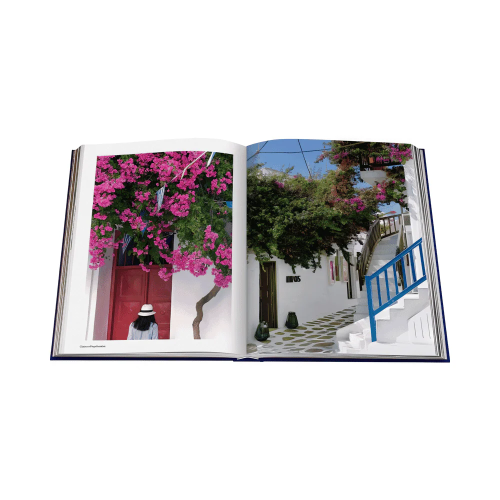 Mykonos Muse Book - Image 5