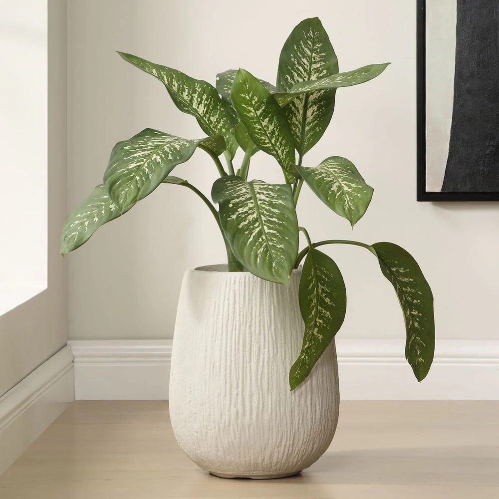Tucson Indoor / Outdoor Planter - Image 2
