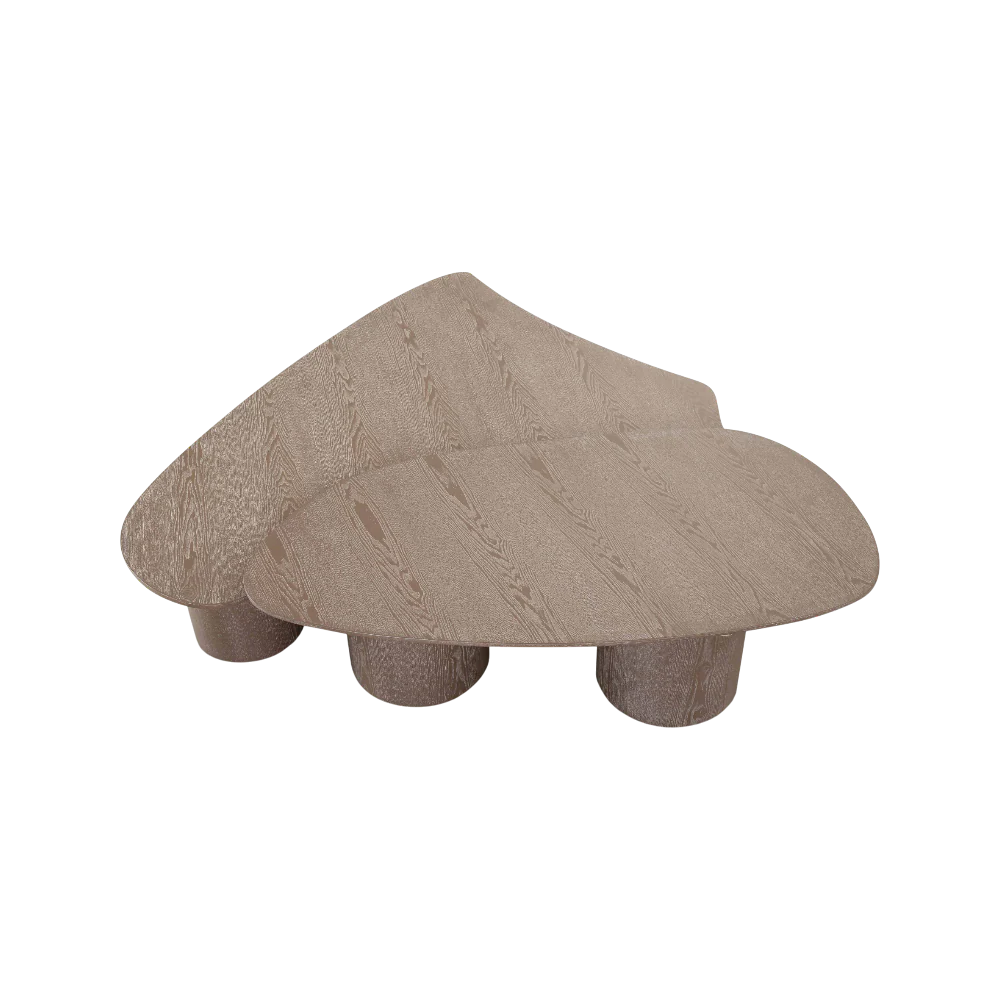 Vesta 2 Piece Washed Ash Nesting Coffee Table Set - Image 4